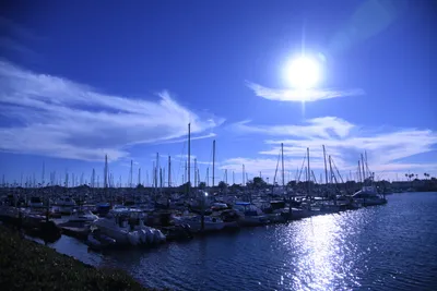 DSC_0877 (Large).JPG